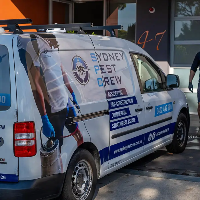 Strata Pest Control in Melbourne